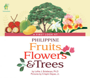 A First Look at Philippine Fruits, Flowers & Trees